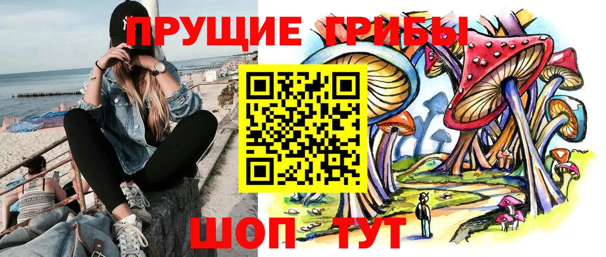 Псилоцибиновые грибы мицелий  Вход с VPN  купить наркотик  Менделеевск 