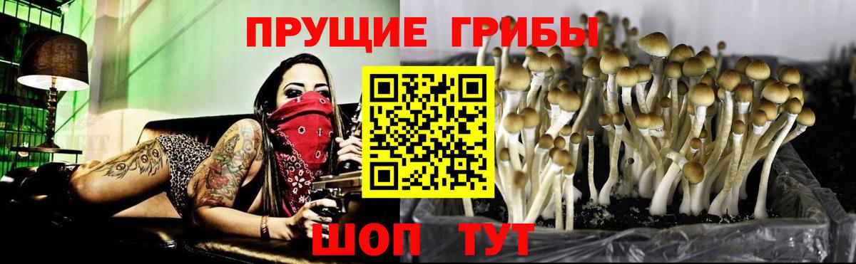 Галлюциногенные грибы MAGIC MUSHROOMS Менделеевск